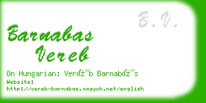 barnabas vereb business card